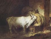 Jean Honore Fragonard The White Bull (mk05) oil painting on canvas